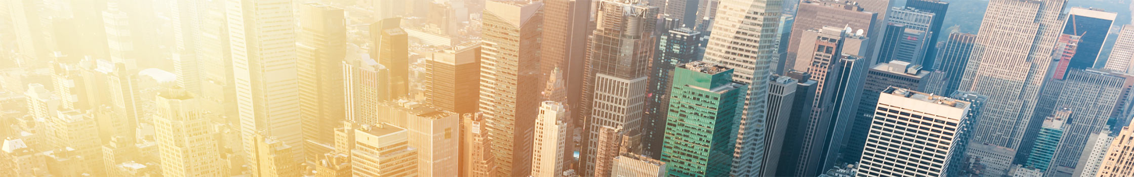Real Estate Header